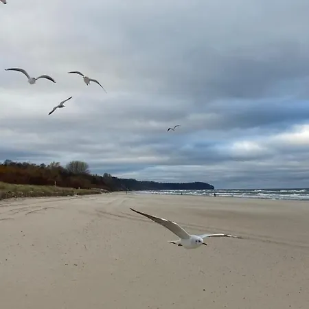 View Sky&sea- Maloves - Prywatny Na Wynajem -widok Na Morze ,taras ,aneks *