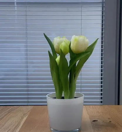 Apartman View Sky & Sea- Maloves - Prywatny Na Wynajem -widok Na Morze ,taras ,aneks