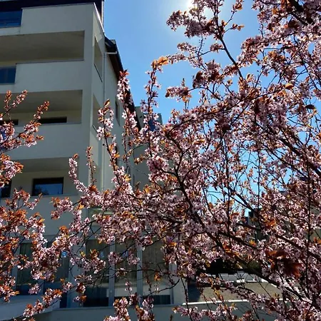 View Sky & Sea- Maloves - Prywatny Na Wynajem -widok Na Morze ,taras ,aneks Apartmán Władysławowo