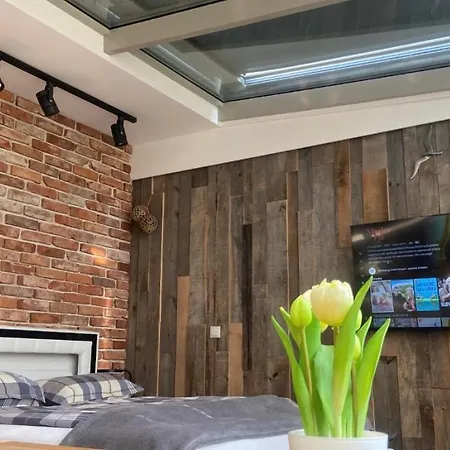 View Sky & Sea- Maloves - Prywatny Na Wynajem -widok Na Morze ,taras ,aneks * Władysławowo