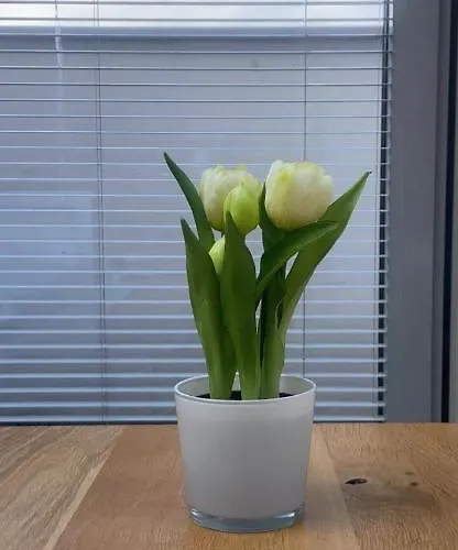 公寓 View Sky & Sea- Maloves - Prywatny Na Wynajem -widok Na Morze ,taras ,aneks