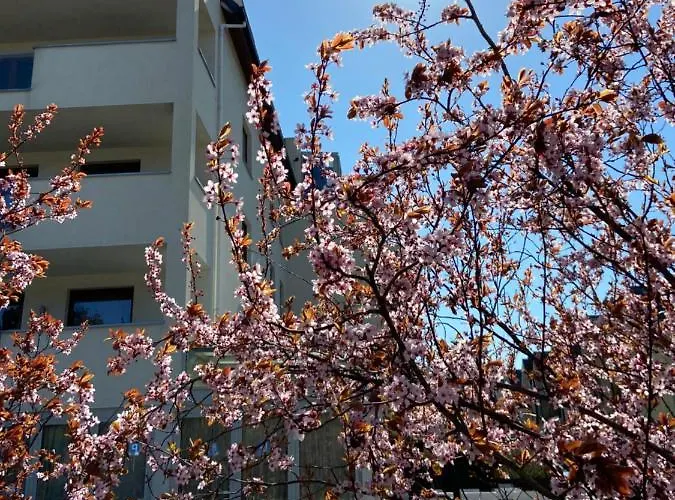 View Sky & Sea- Maloves - Prywatny Na Wynajem -widok Na Morze ,taras ,aneks 公寓 Władysławowo